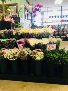 A huge selection of plants and flowers at the Giant Farmers Market in Waldwick, NJ!
